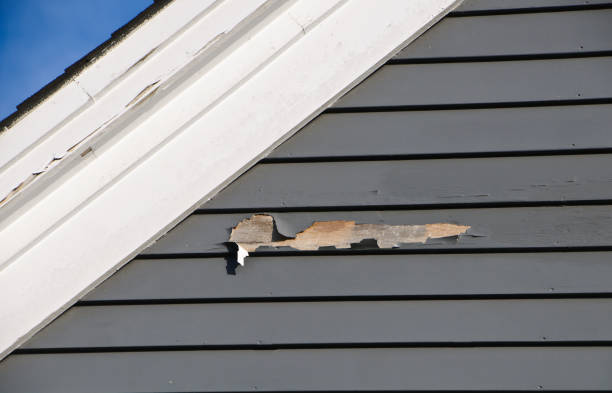 Affordable Siding Repair and Maintenance Services in Interlaken, CA